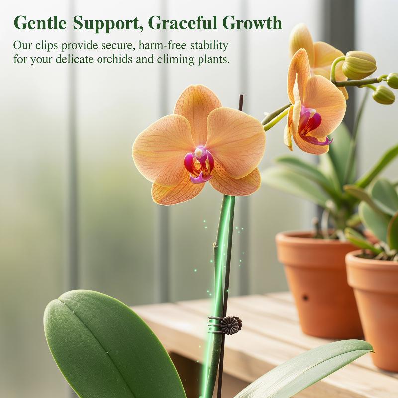 50Pcs Plant Fixed Clip Butterf - Home Security Adt のレビューと価格