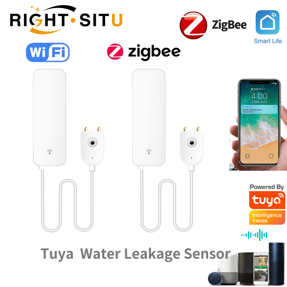 Tuya WiFi Water Leak Sensor, W - Home Security With Ai のレビューと価格