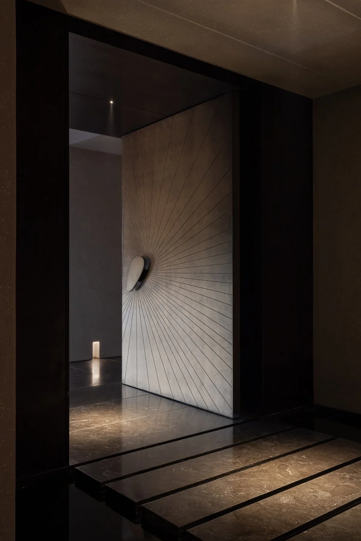 Pivot Doors for Security Exter - Home Security Front Door のレビューと価格