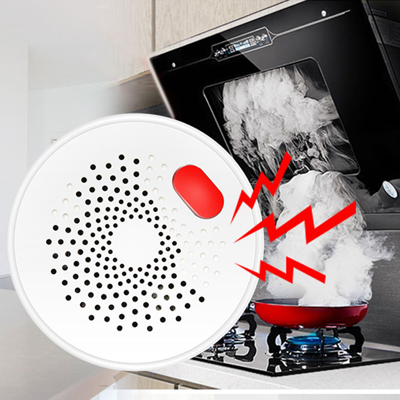 Tuya Smart Home Wifi Natural G - Home Security With Ai のレビューと価格