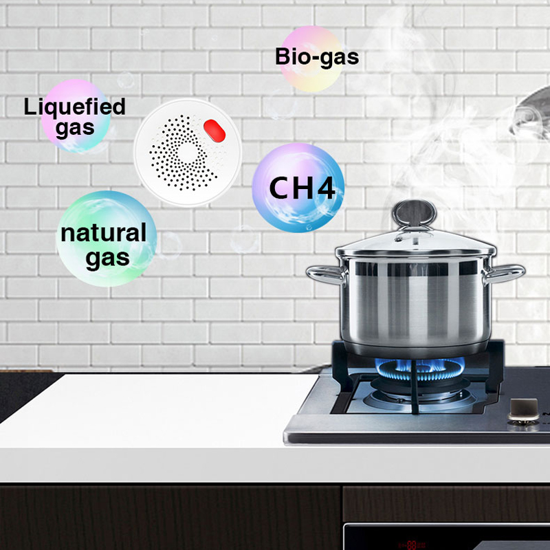 Tuya Smart Home Wifi Natural G - Home Security With Ai のレビューと価格