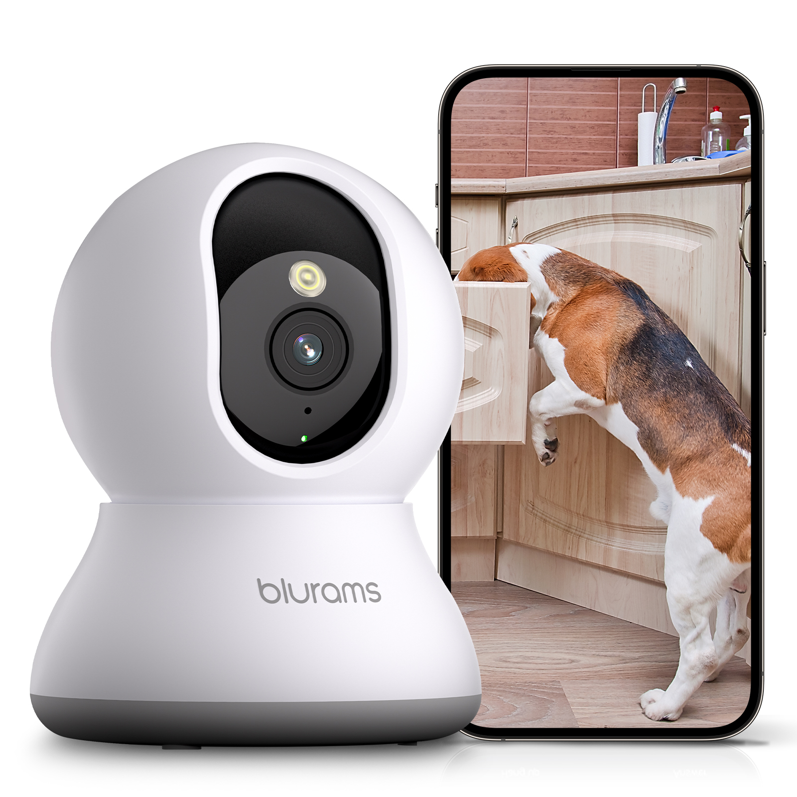Blurams 2K 5GHz/2.4GHz Indoor  - Home Security Adt のレビューと価格