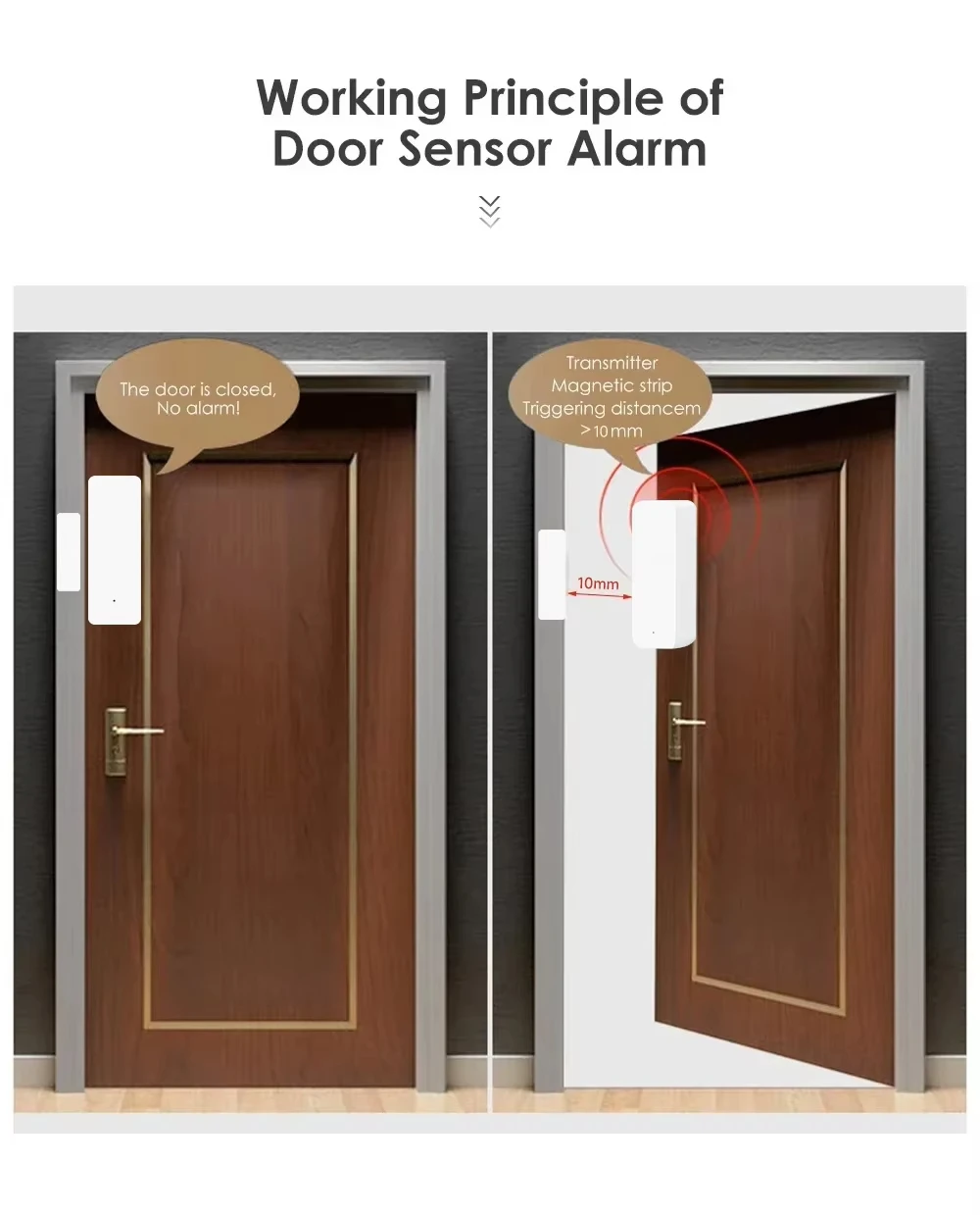 Tuya Zigbee/WiFi Magnetic Door - Window Alarm Sensor のレビューと価格