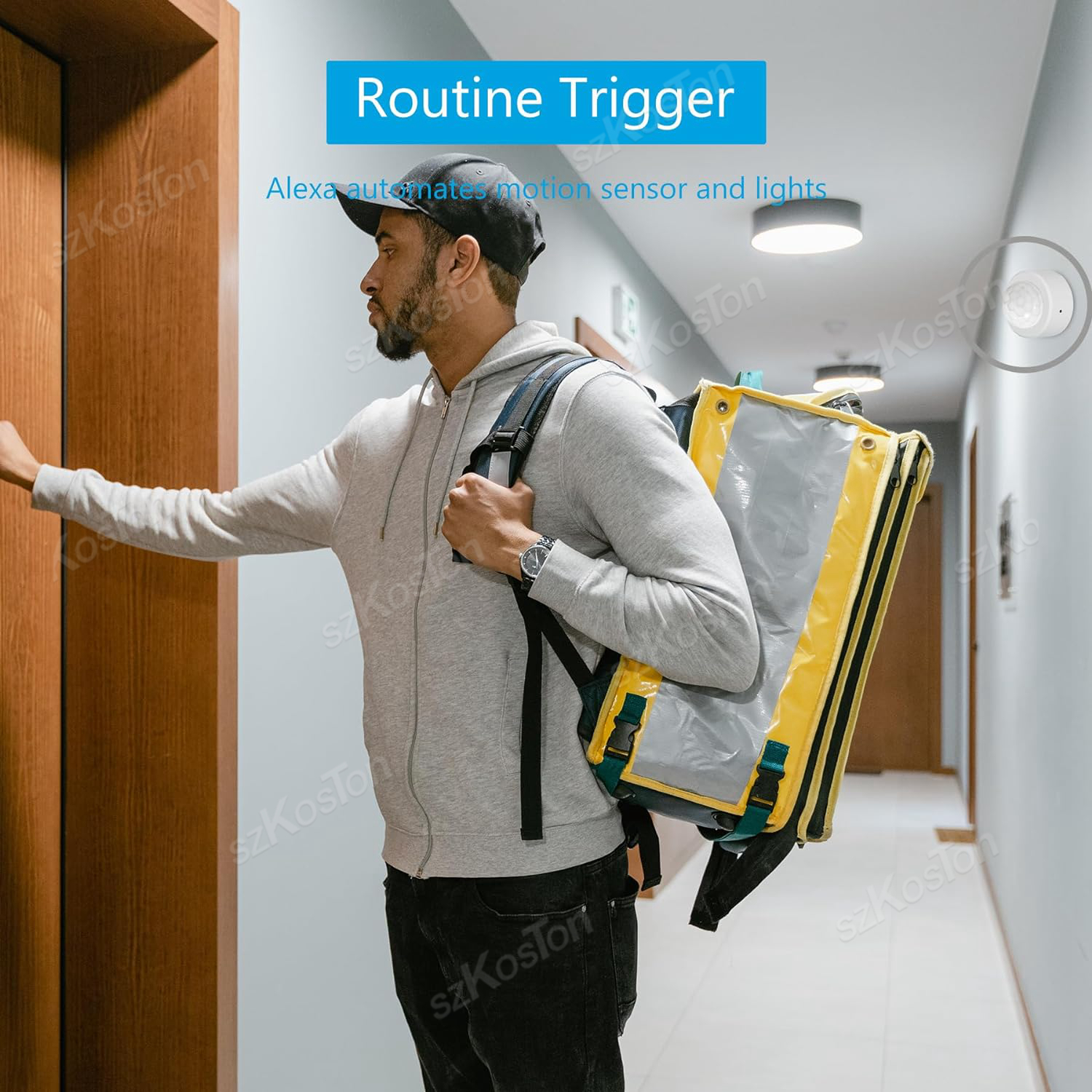 eWelink APP Zigbee Motion Sens - Home Security Device のレビューと価格
