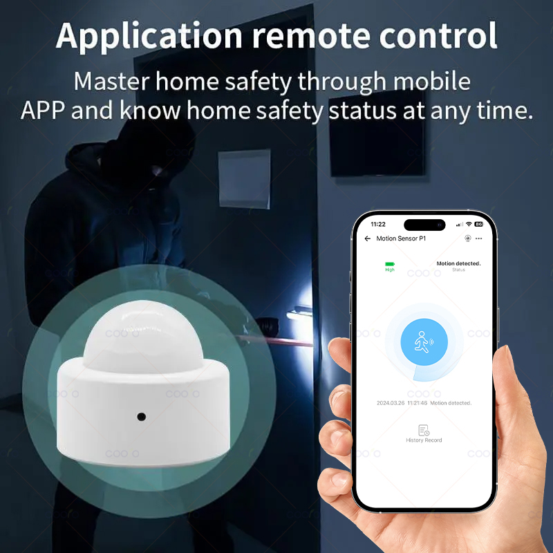 Zigbee Mini PIR Motion Sensor  - Home Security Device のレビューと価格