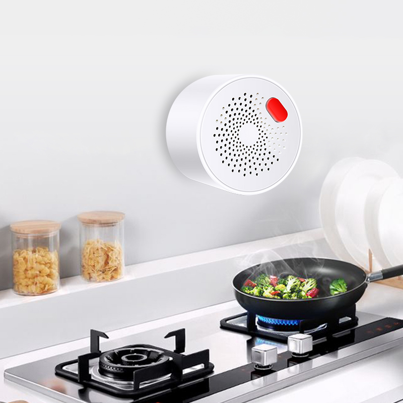 Tuya Smart Home Wifi Natural G - Home Security With Ai のレビューと価格