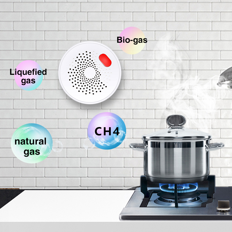 Tuya Smart Home Wifi Natural G - Home Security With Ai のレビューと価格