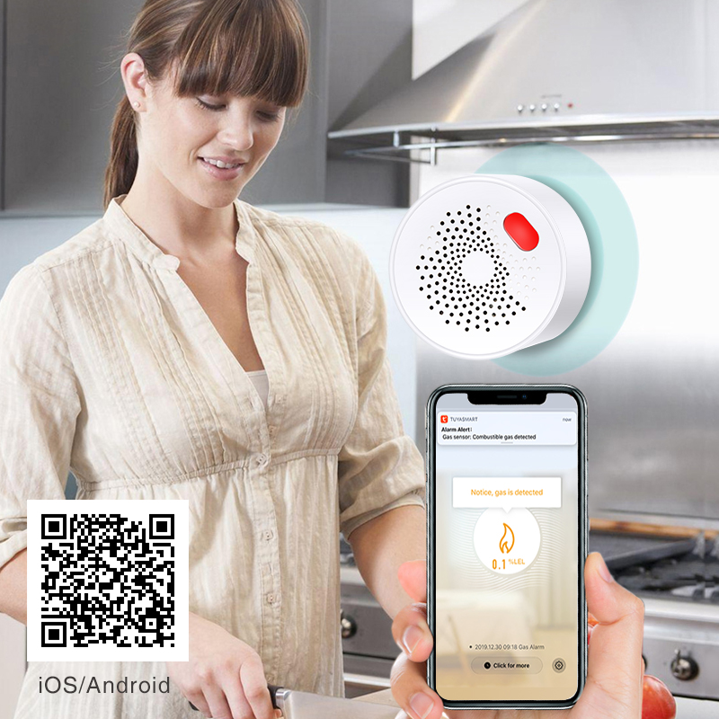 Tuya Smart Home Wifi Natural G - Home Security With Ai のレビューと価格